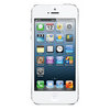 Apple iPhone 5 16Gb white - Сходня