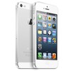 Apple iPhone 5 64Gb white - Сходня
